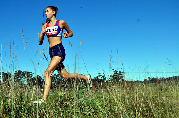 A Lardner Park Cross Country 2021