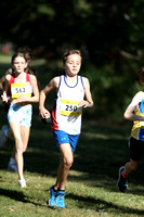 NSW Cross Country Relay Championships 2023