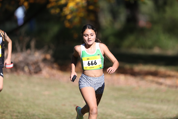 NSW Cross Country Relay Championships 2023