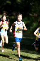 NSW Cross Country Relay Championships 2023