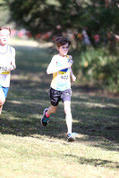 NSW Cross Country Relay Championships 2023