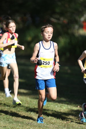 NSW Cross Country Relay Championships 2023