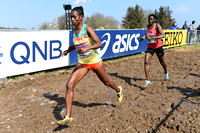 IAAF World Cross Country Championships 2019