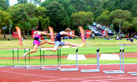 Synchronised hurdles
