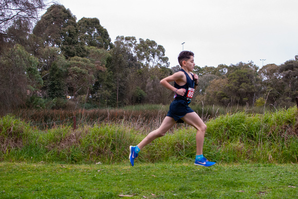 Victorian Cross Country Championships 2024
