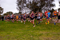 Victoria Cross Country Championships 2024