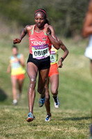 IAAF World Cross Country Championships 2019