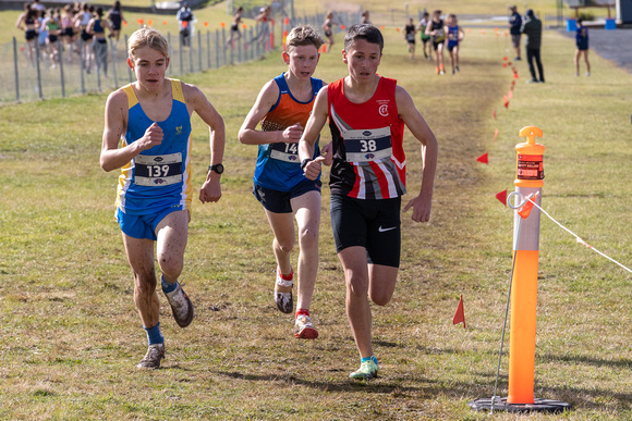 NSW Short Course Cross Country Championships 2022