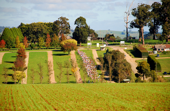Lardner Park Cross Country 2010